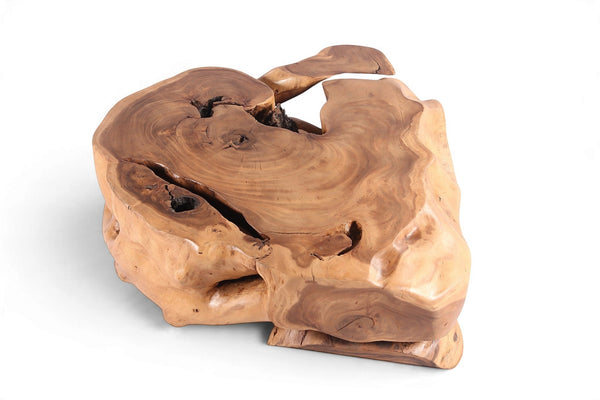 61” Wide Natural Form Organic Teak Root Coffee Table - Dyag East