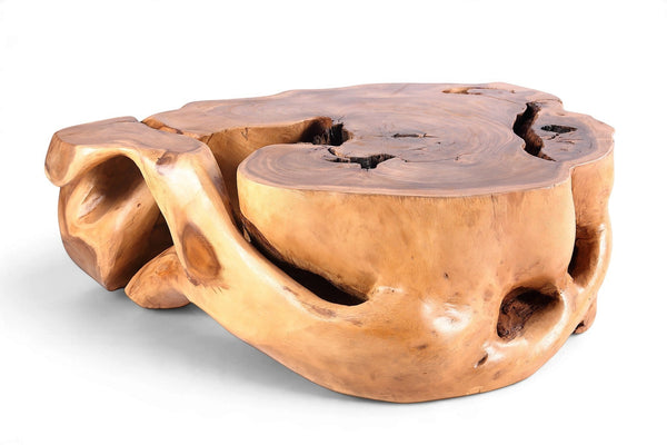 61” Wide Natural Form Organic Teak Root Coffee Table - Dyag East