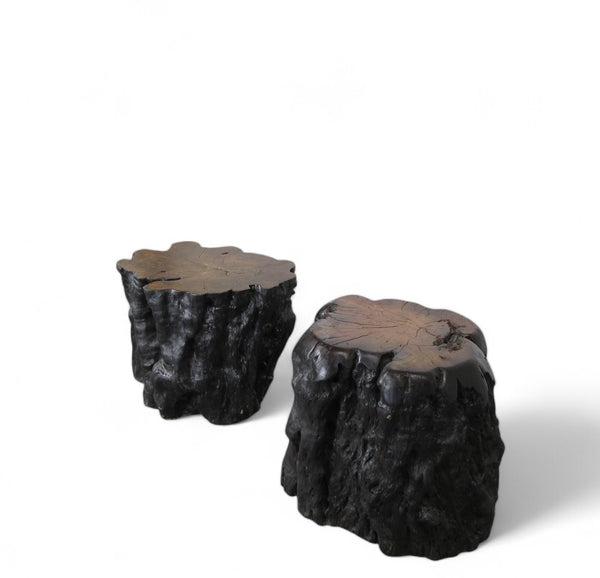 Black Lychee Living Edge Accent or Side Table or Stool, Pair
