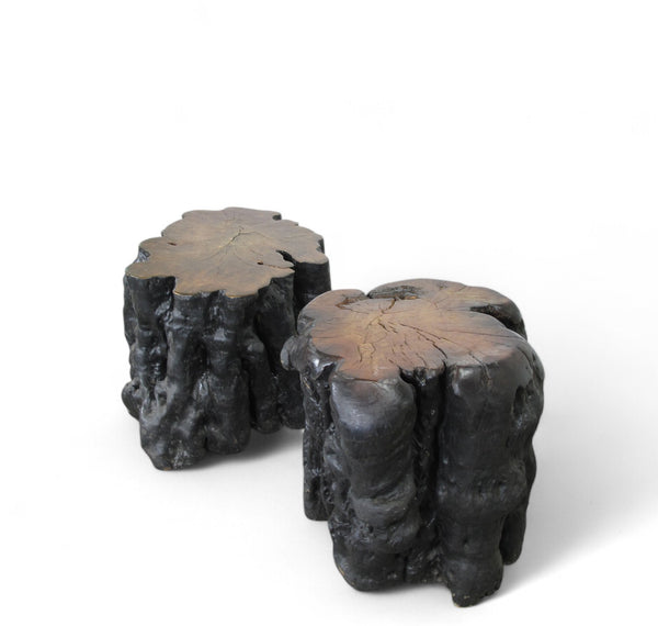 Black Lychee Living Edge Accent or Side Table or Stool, Pair