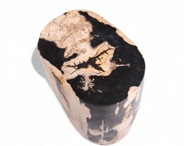 Large Oval Petrified Wood Accent Table or Side Table 1