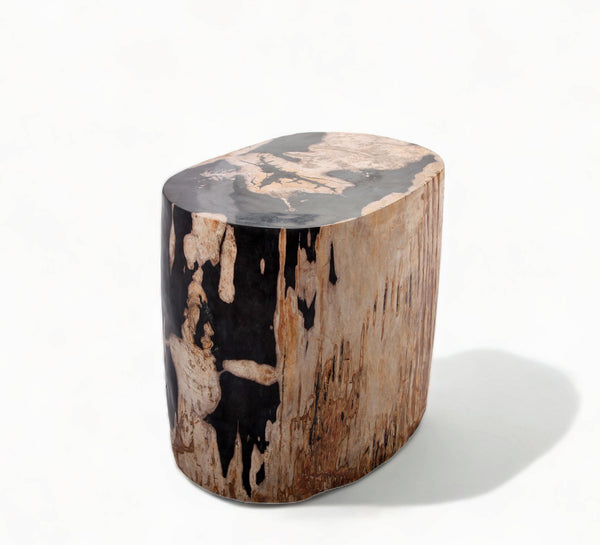 Large Oval Petrified Wood Accent Table or Side Table 1