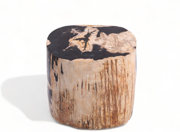 Large Oval Petrified Wood Accent Table or Side Table 1