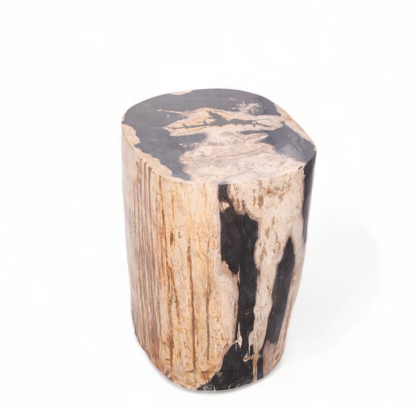 Large Oval Petrified Wood Accent Table or Side Table 1