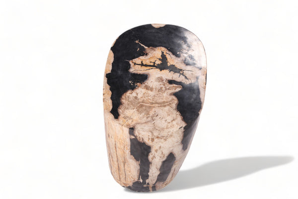 Large Oval Petrified Wood Accent Table or Side Table 1