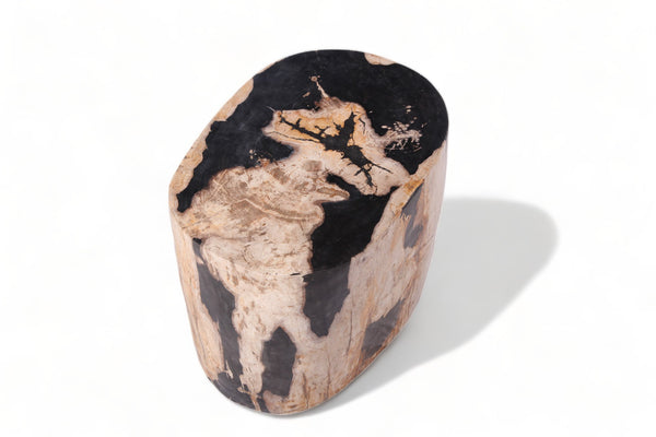 Large Oval Petrified Wood Accent Table or Side Table 1