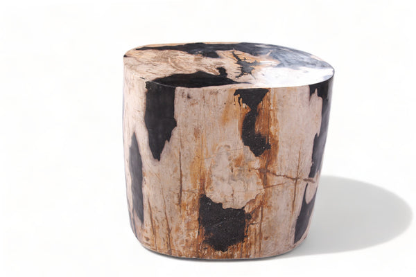 Large Oval Petrified Wood Accent Table or Side Table 1