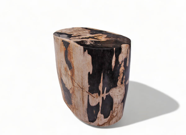 Large Oval Petrified Wood Accent Table or Side Table 1