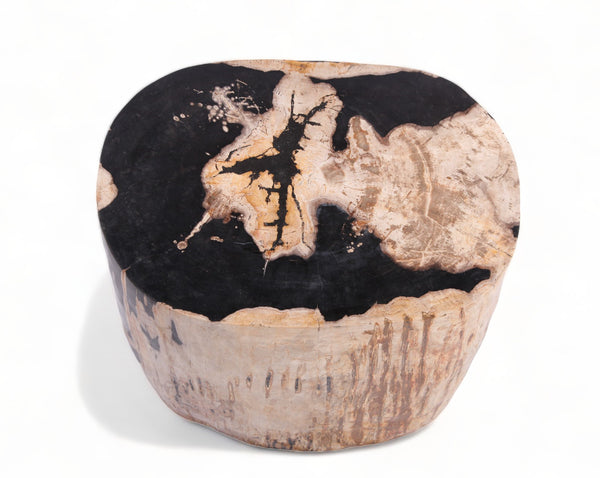 Large Oval Petrified Wood Accent Table or Side Table 1