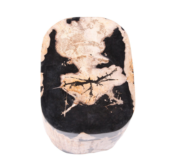 Large Oval Petrified Wood Accent Table or Side Table 2