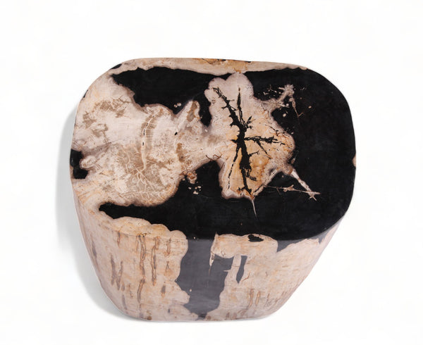 Large Oval Petrified Wood Accent Table or Side Table 2