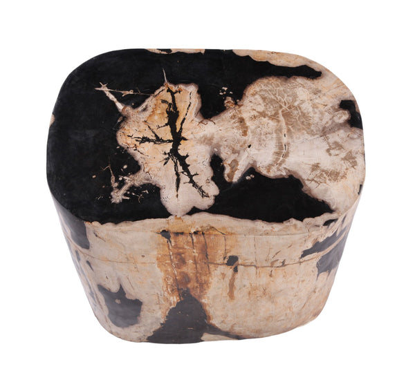 Large Oval Petrified Wood Accent Table or Side Table 2