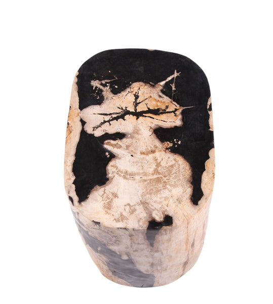 Large Oval Petrified Wood Accent Table or Side Table 2