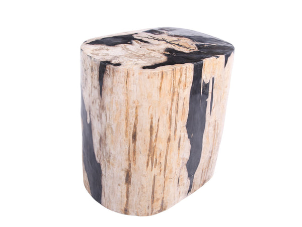 Large Oval Petrified Wood Accent Table or Side Table 2