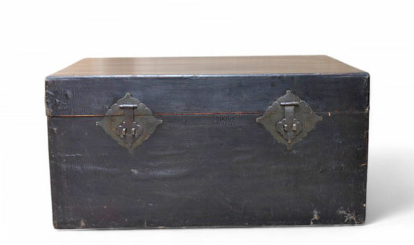 Black Leather Traveler's Trunk