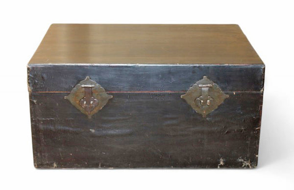 Black Leather Traveler's Trunk