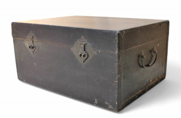 Black Leather Traveler's Trunk