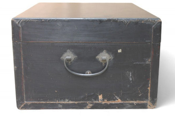 Black Leather Traveler's Trunk