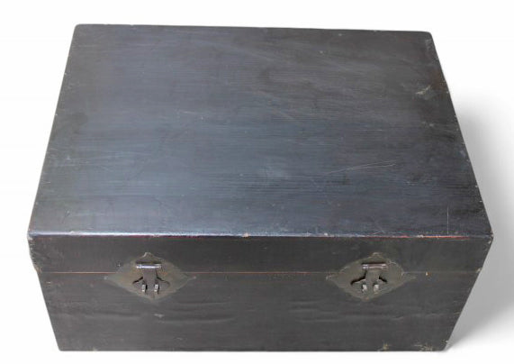 Black Leather Traveler's Trunk