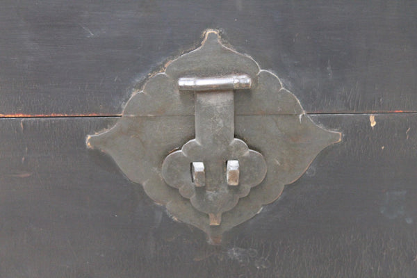 Black Leather Traveler's Trunk