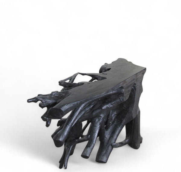 Naturel Teak Root Console Table