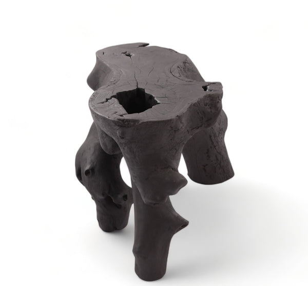 Black Natural Sculptured Console Table - 1