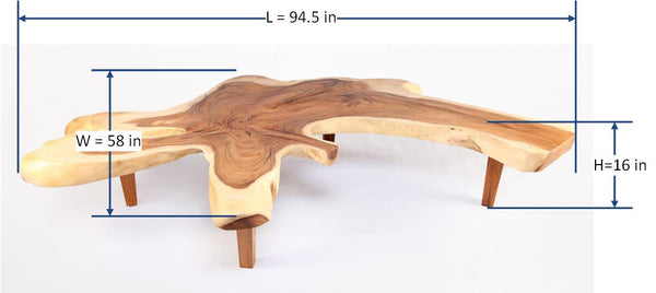 95" Long Free Form One Slab Living Edge Coffee Table 10