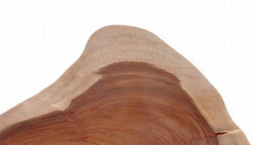 One Slab Living Edge Coffee Table With Black Iron Legs 47