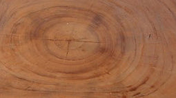 One Slab Living Edge Coffee Table With Black Iron Legs 47