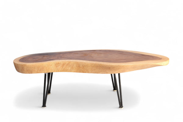 One Slab Living Edge Coffee Table With Black Iron Legs 51