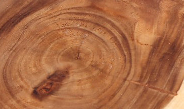 One Slab Living Edge Coffee Table With Black Iron Legs 51