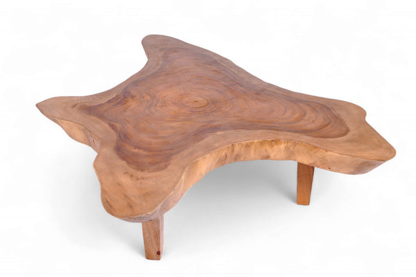 Free Form One Slab Living Edge Coffee Table 7