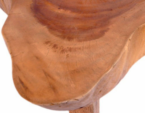 Free Form One Slab Living Edge Coffee Table 7