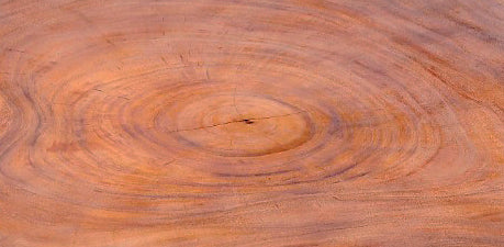 Free Form One Slab Living Edge Coffee Table 7