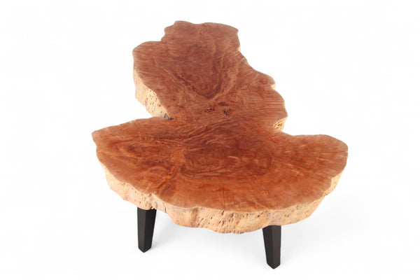 Modern Lychee Living Edge Coffee Table 91