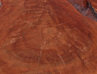 Z-Modern Lychee Living Edge Coffee Table 92