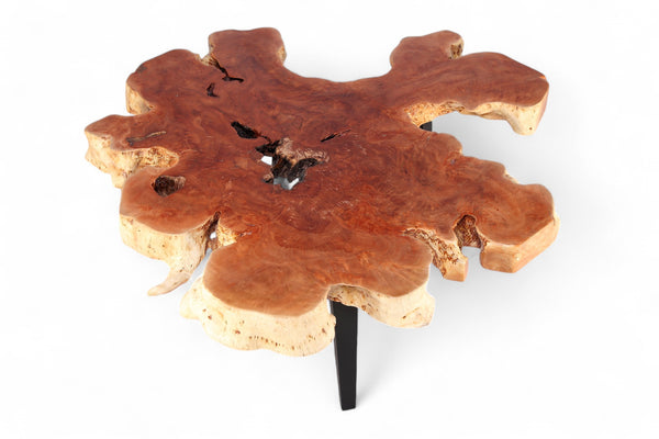 Modern Lychee Living Edge Coffee Table 93