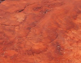 Modern Lychee Living Edge Coffee Table 93