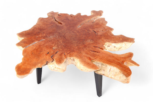 Modern Lychee Living Edge Coffee Table 94