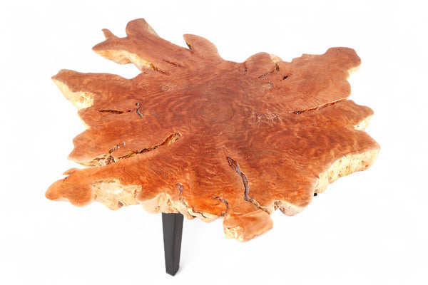 Modern Lychee Living Edge Coffee Table 94