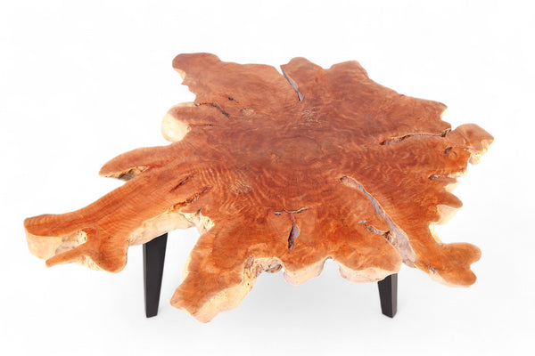 Modern Lychee Living Edge Coffee Table 94