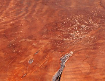 Modern Lychee Living Edge Coffee Table 94