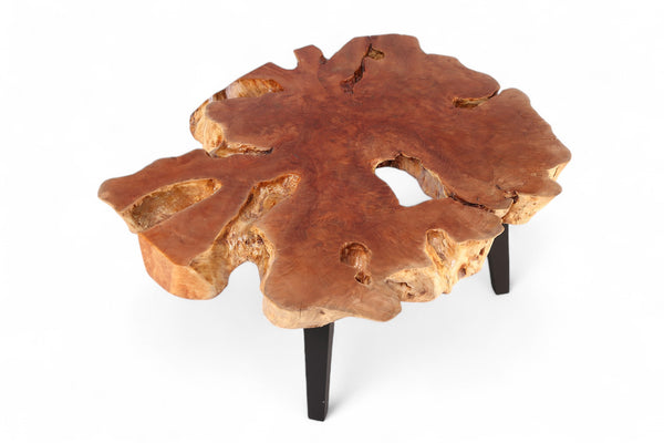 Modern Lychee Living Edge Coffee Table 95