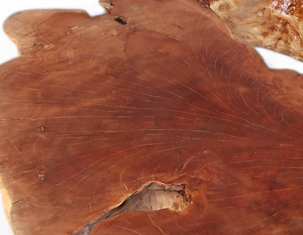 Modern Lychee Living Edge Coffee Table 95