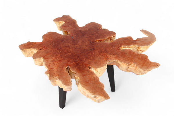 Modern Lychee Living Edge Coffee Table 96