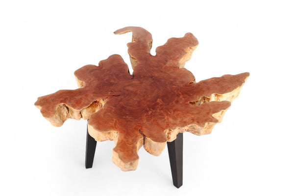 Modern Lychee Living Edge Coffee Table 96