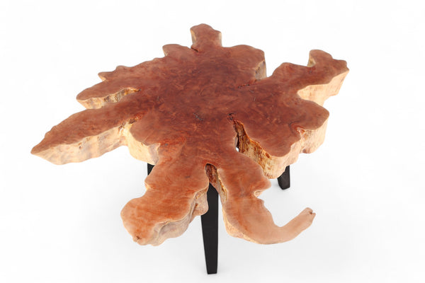 Modern Lychee Living Edge Coffee Table 96