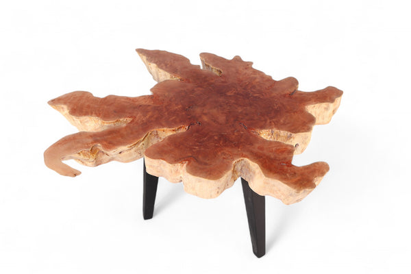 Modern Lychee Living Edge Coffee Table 96