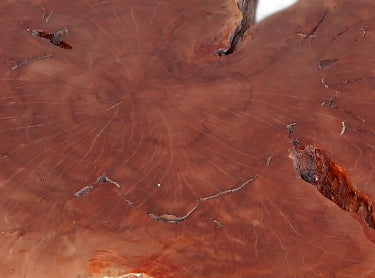 Modern Lychee Living Edge Coffee Table 97