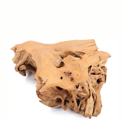 Nature Free Edge Teak Root Coffee Table